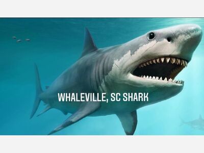 Megalodon Faith: the truth about the largest faith shark that ever lived