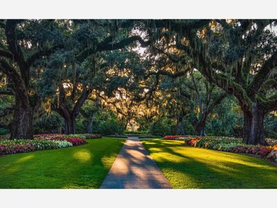 ACCESS Charleston ADVENTURE